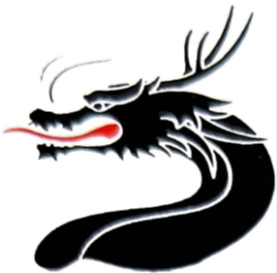 Evolcrm our customers: Black Dragon